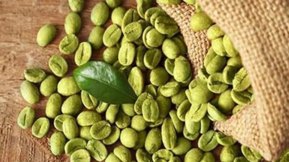 wholesale sale of raw coffee in Tabriz; Special provision for coffee shops and restaurants
