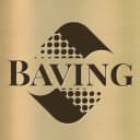 Bavin Group