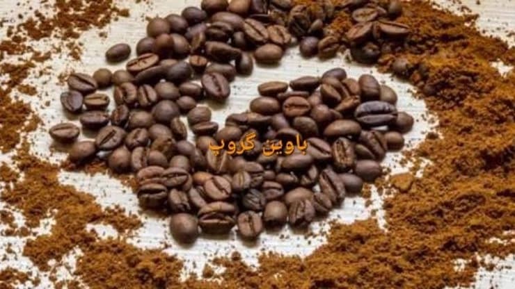 باوین گروپ